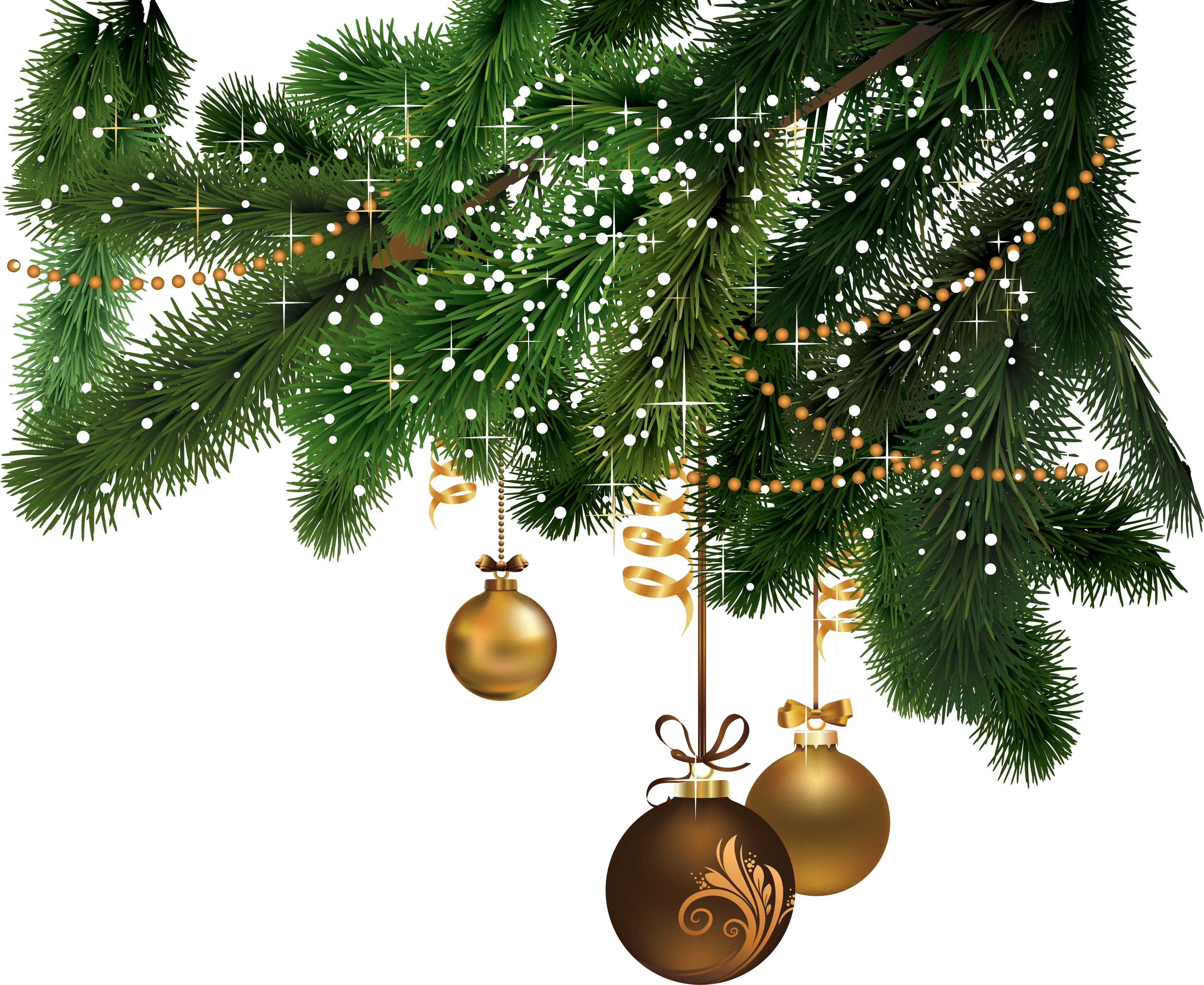 Christmas fir-tree PNG image