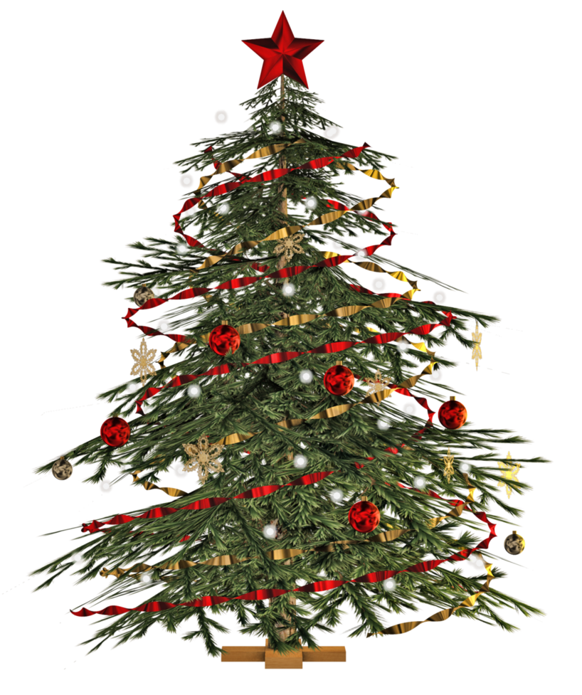 Christmas Tree Png Transparent Image Download Size 818x977px