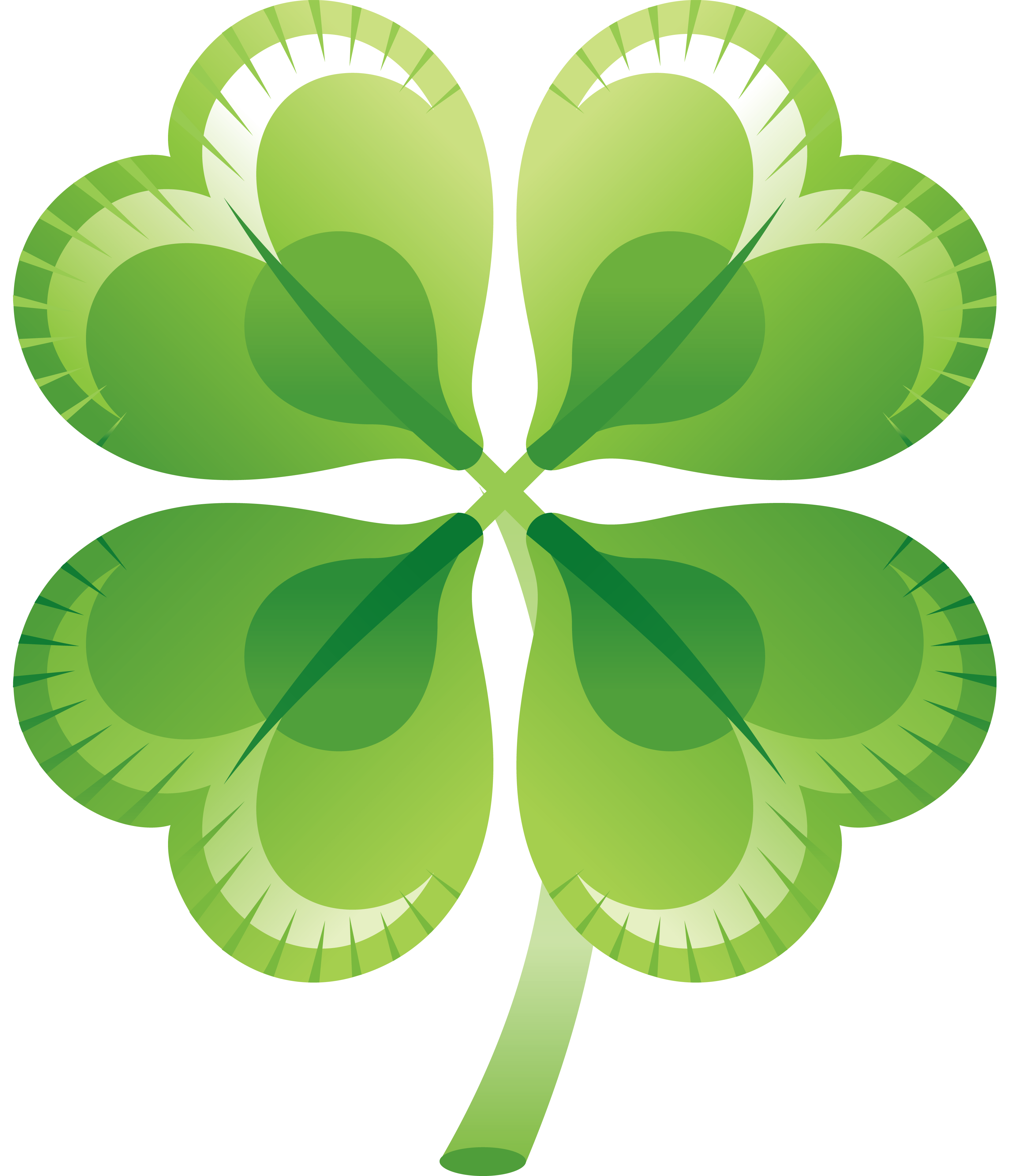 Green clover PNG image