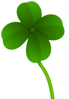Green clover PNG image