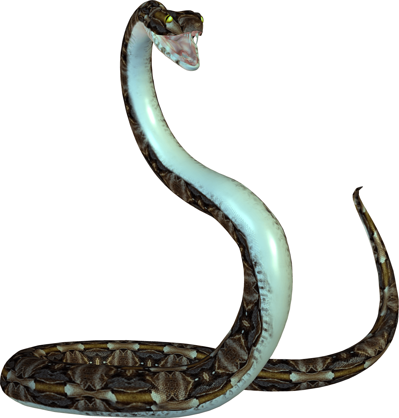 Cobra Png Transparent Image Download Size 1383x1451px