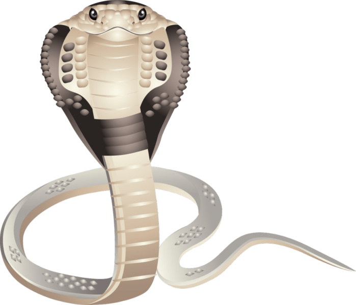 Cobra PNG