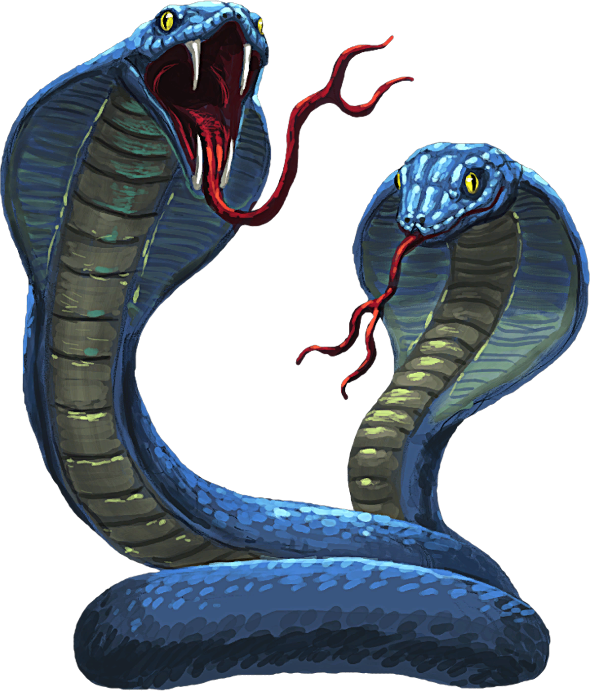 Cobra PNG