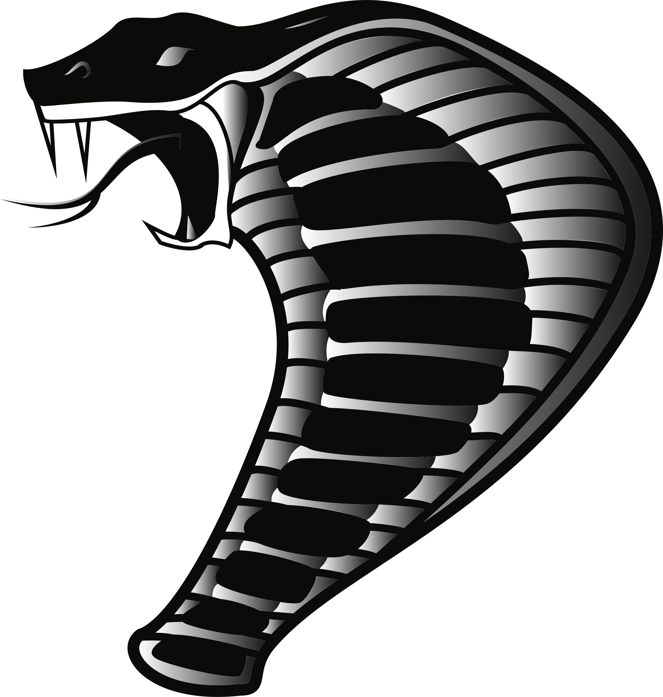 Cobra Png Transparent Image Download Size 2251x2368px