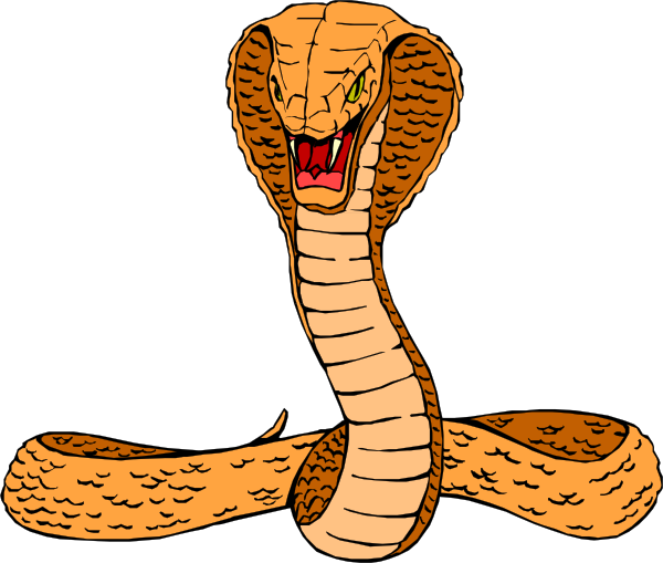 Cobra PNG