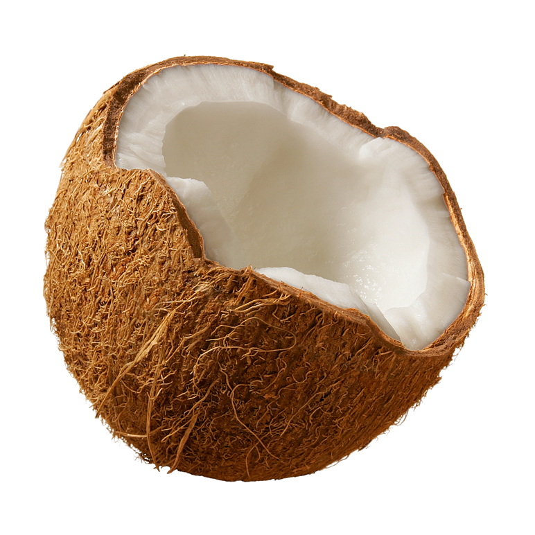 Coconut PNG image