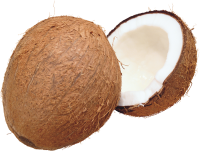 PNG Coconut
