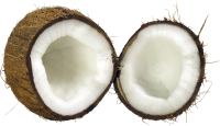 PNG Coconut