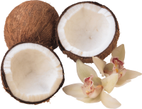 PNG Coconuts