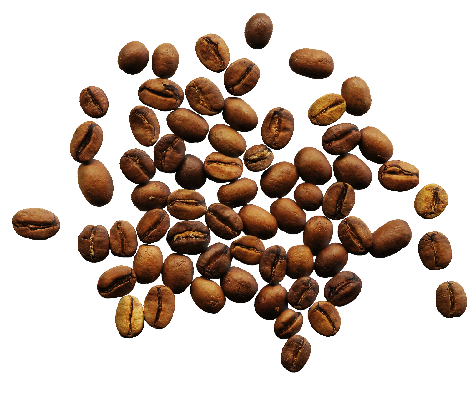 Granos de café PNG