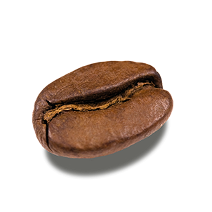Coffee beans PNG