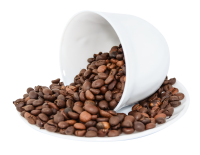 Granos de café PNG