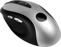 PC mouse PNG image