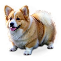 Welsh Corgi dog PNG