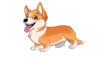 Welsh Corgi dog PNG