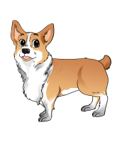 Welsh Corgi dog PNG