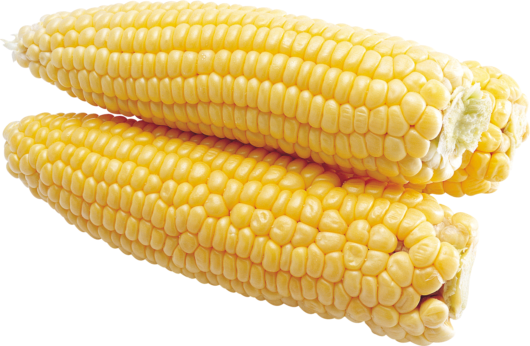 Corn PNG