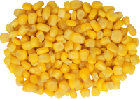 Кукуруза зерна PNG фото
