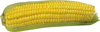 Кукуруза PNG фото