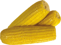 Maize PNG