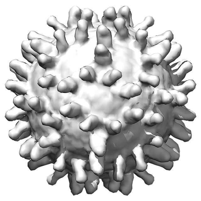 Coronavirus PNG