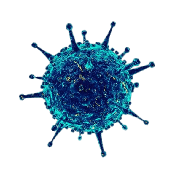 Coronavirus PNG