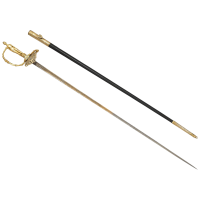 Court sword PNG