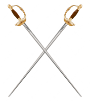 Court sword PNG