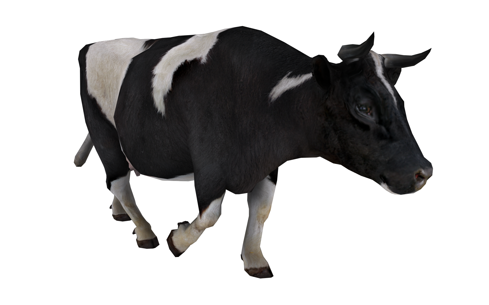 Cow PNG image