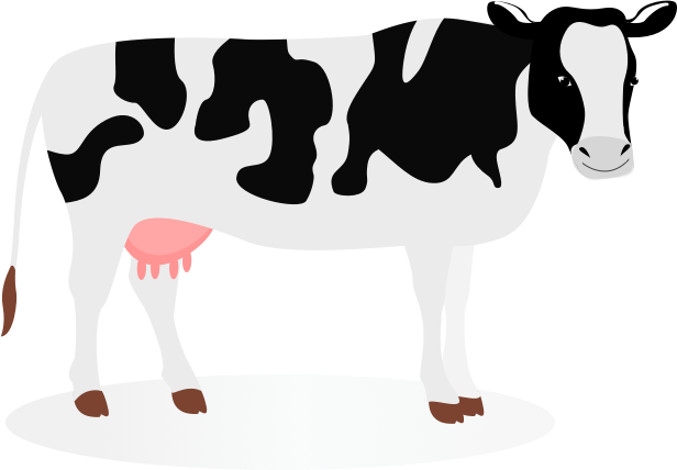 vaca PNG