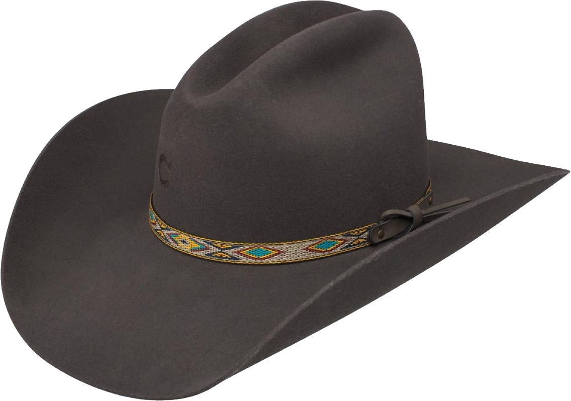 Sombrero vaquero PNG