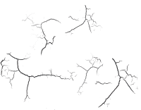 Crack PNG