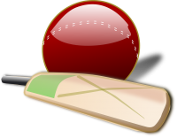 Крикет PNG