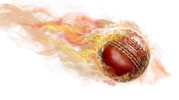 Cricket PNG