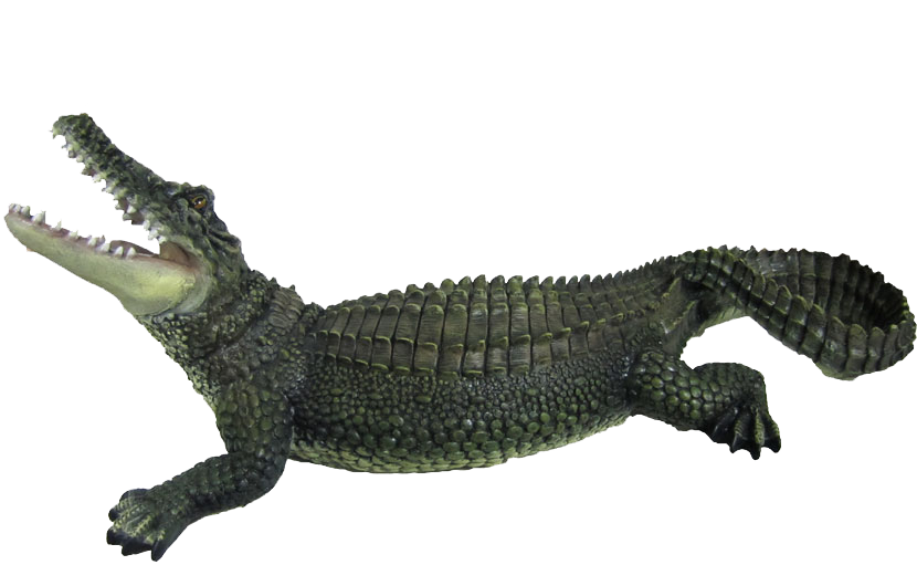 Cocodrilo PNG