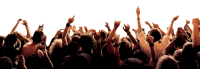 Crowd PNG