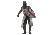 Crusader PNG