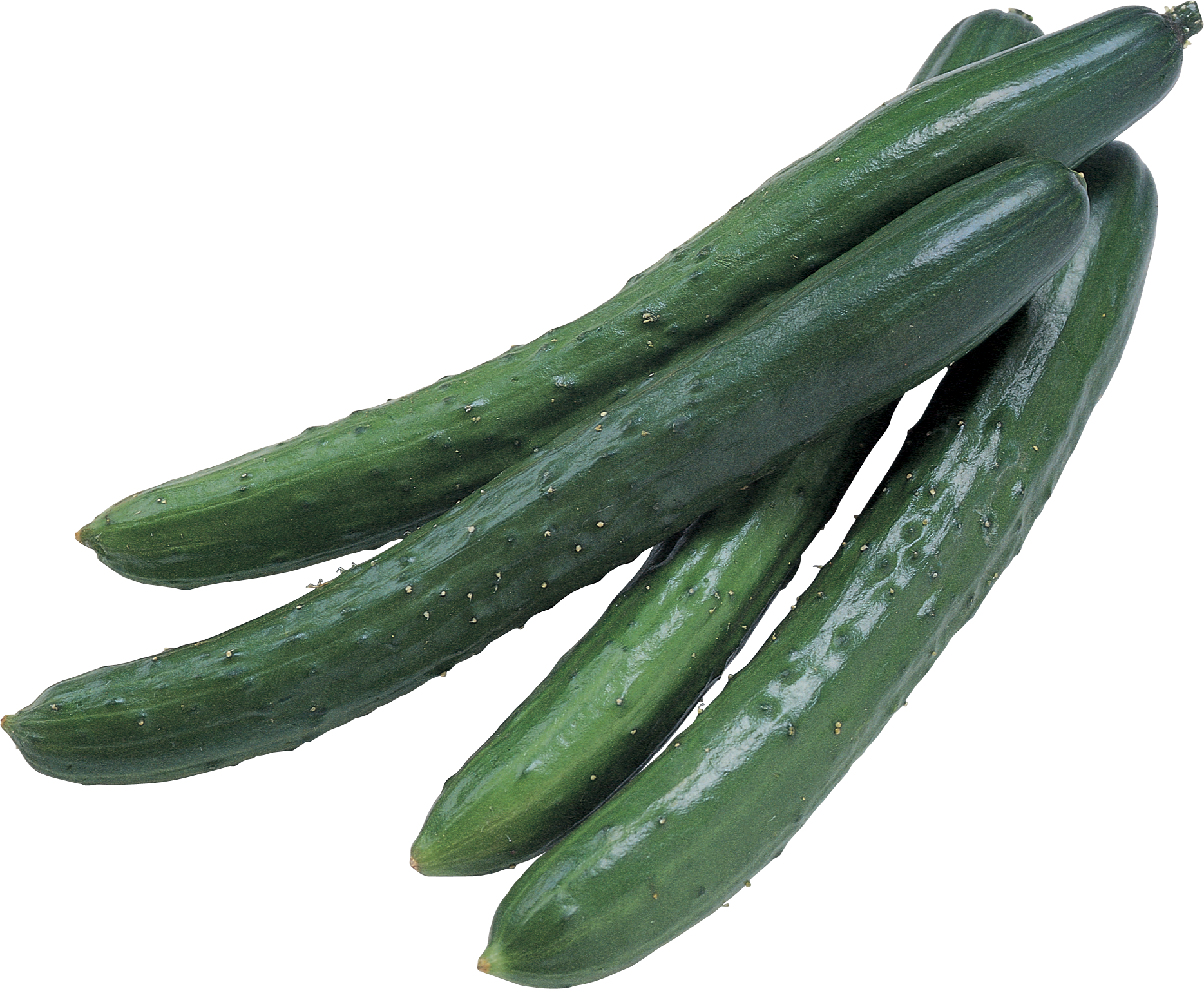 Four long cucumbers PNG
