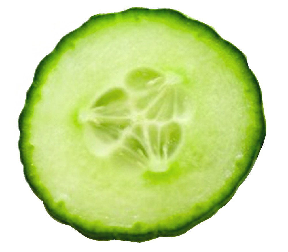 Slice Cucumber PNG Transparent Image Download Size 1000x878px