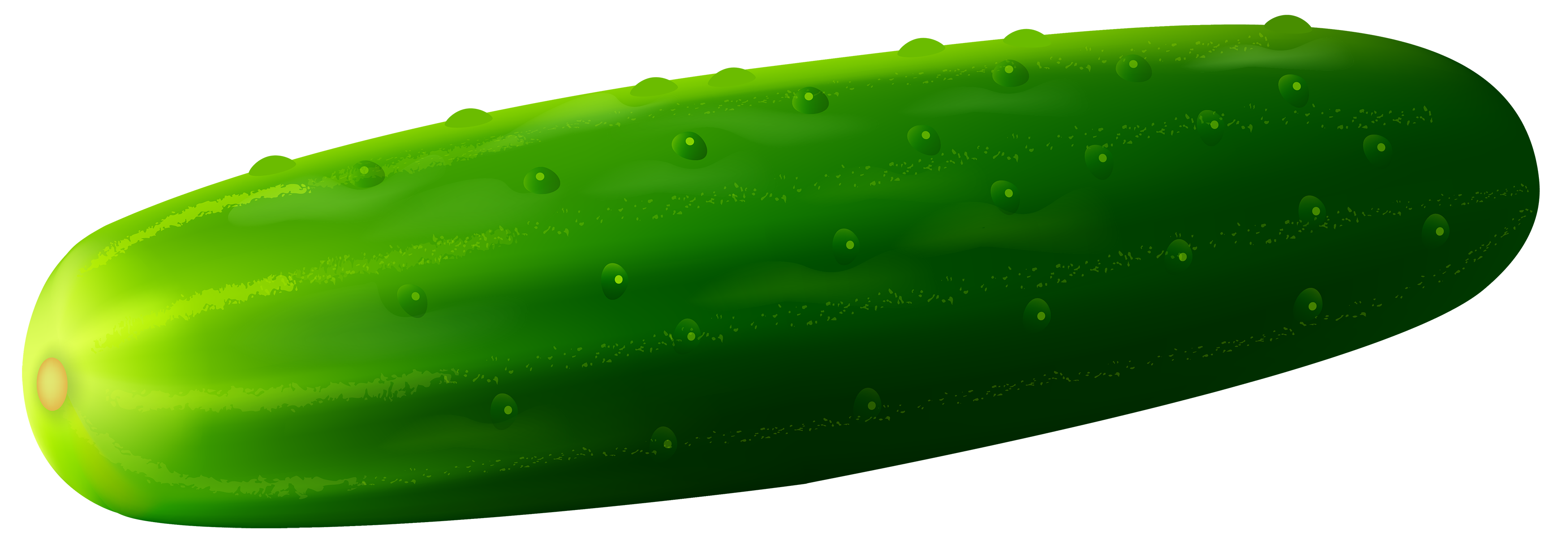 Cucumber Long And Big PNG Transparent Image Download Size 3500x1205px