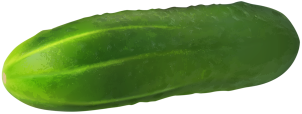 Large cucumber PNG