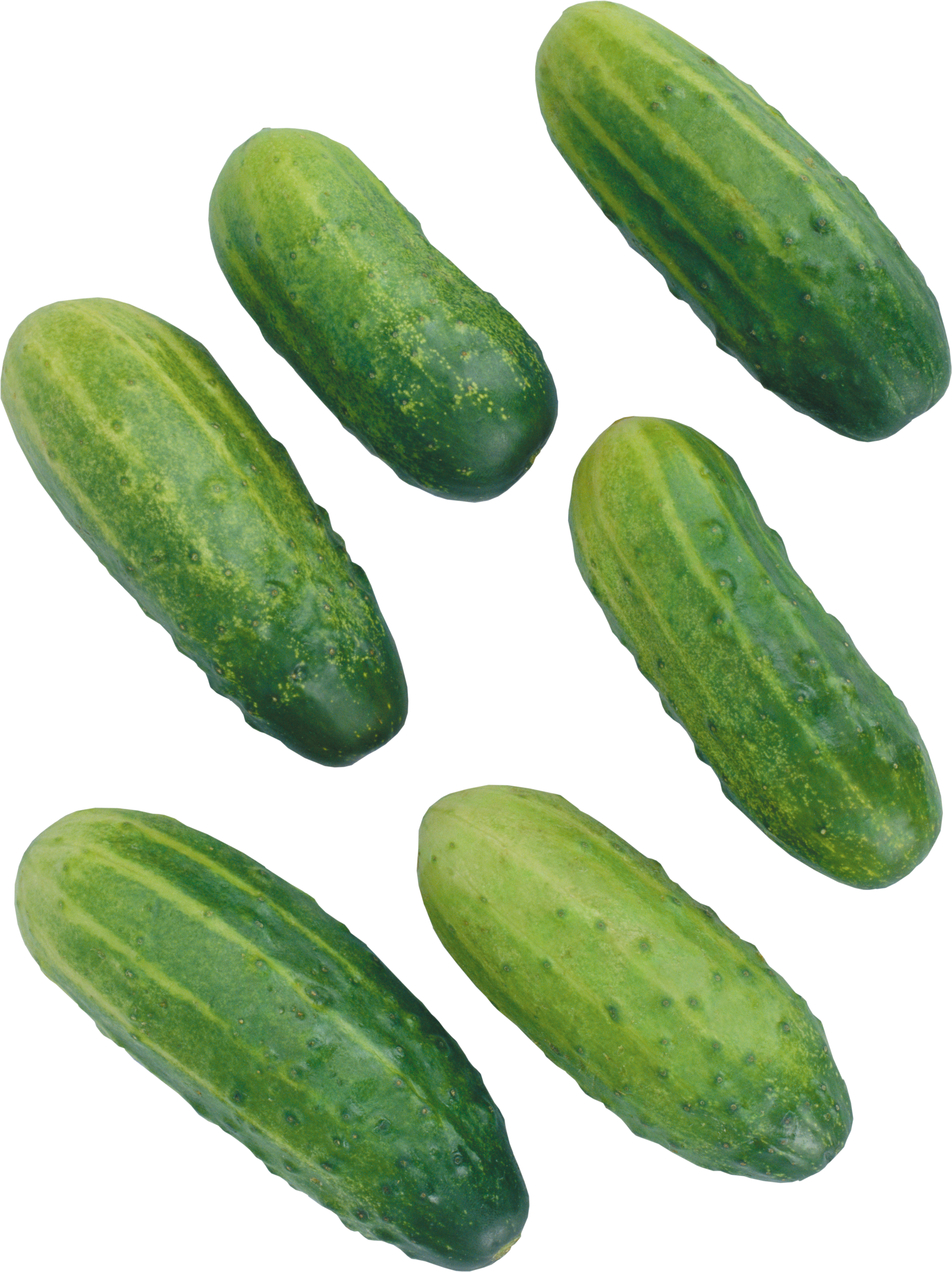 Cucumbers picture PNG