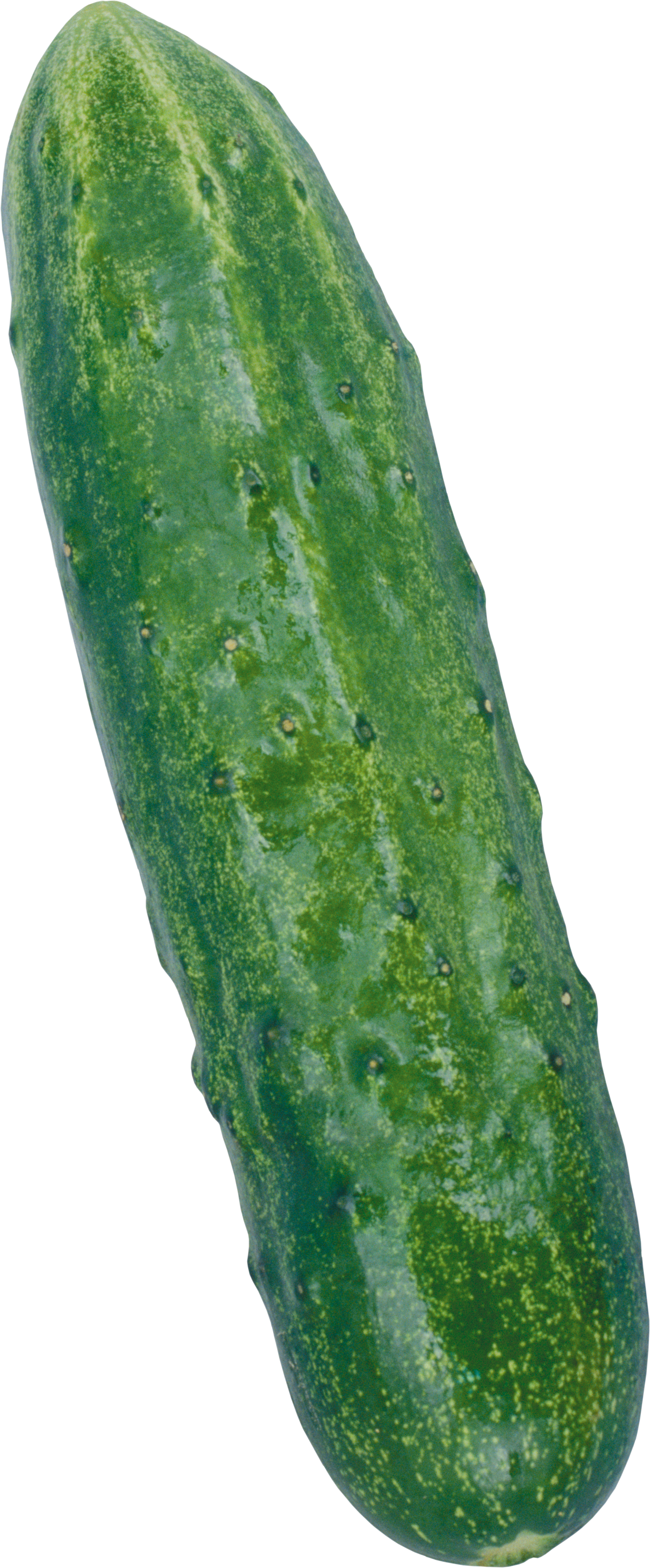 Long cucumber PNG with transparent background
