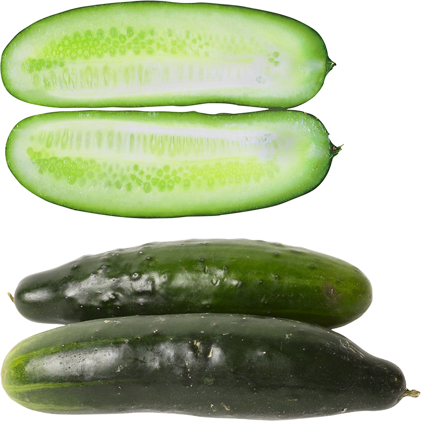 Sliced salted cucumber PNG