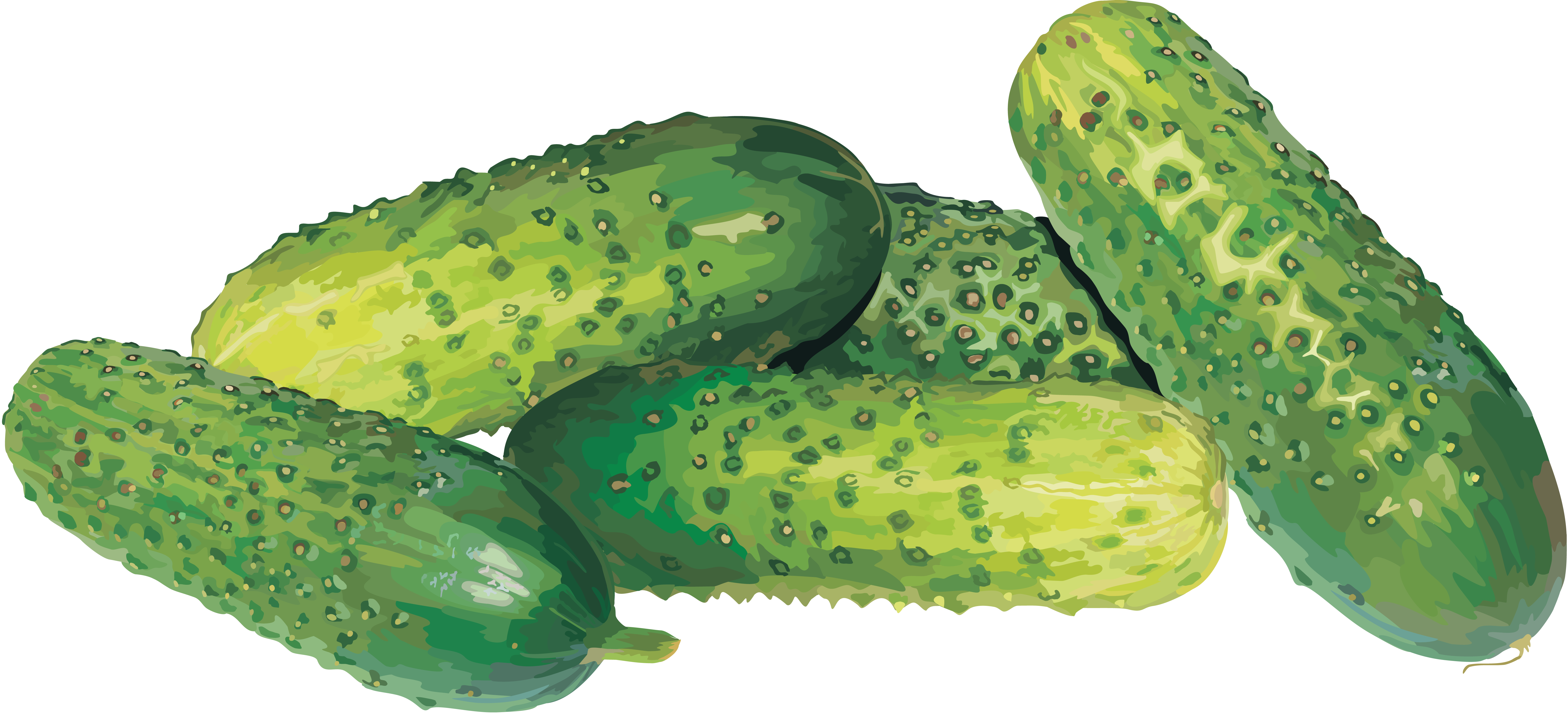 fresh cucumbers PNG