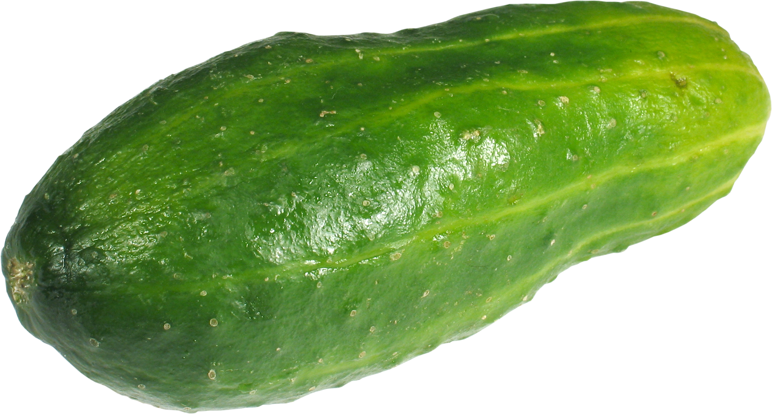 Cucumber PNG picture