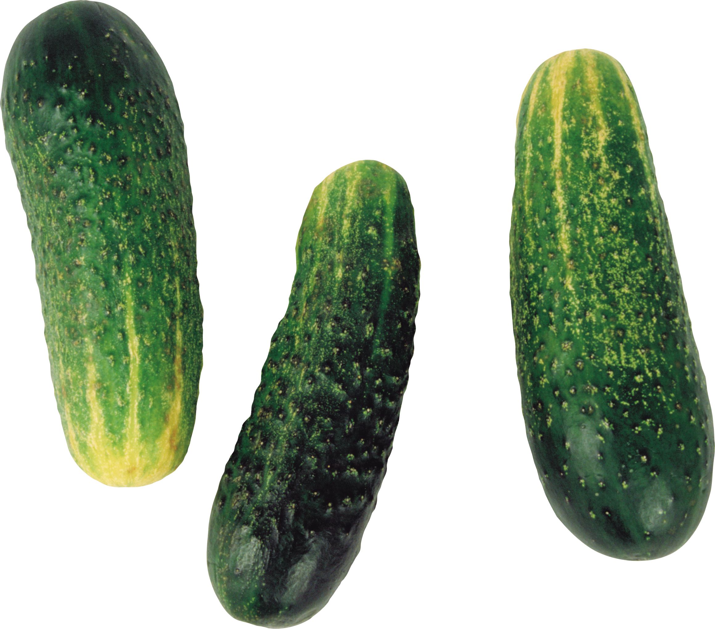 Cucumbers image PNG