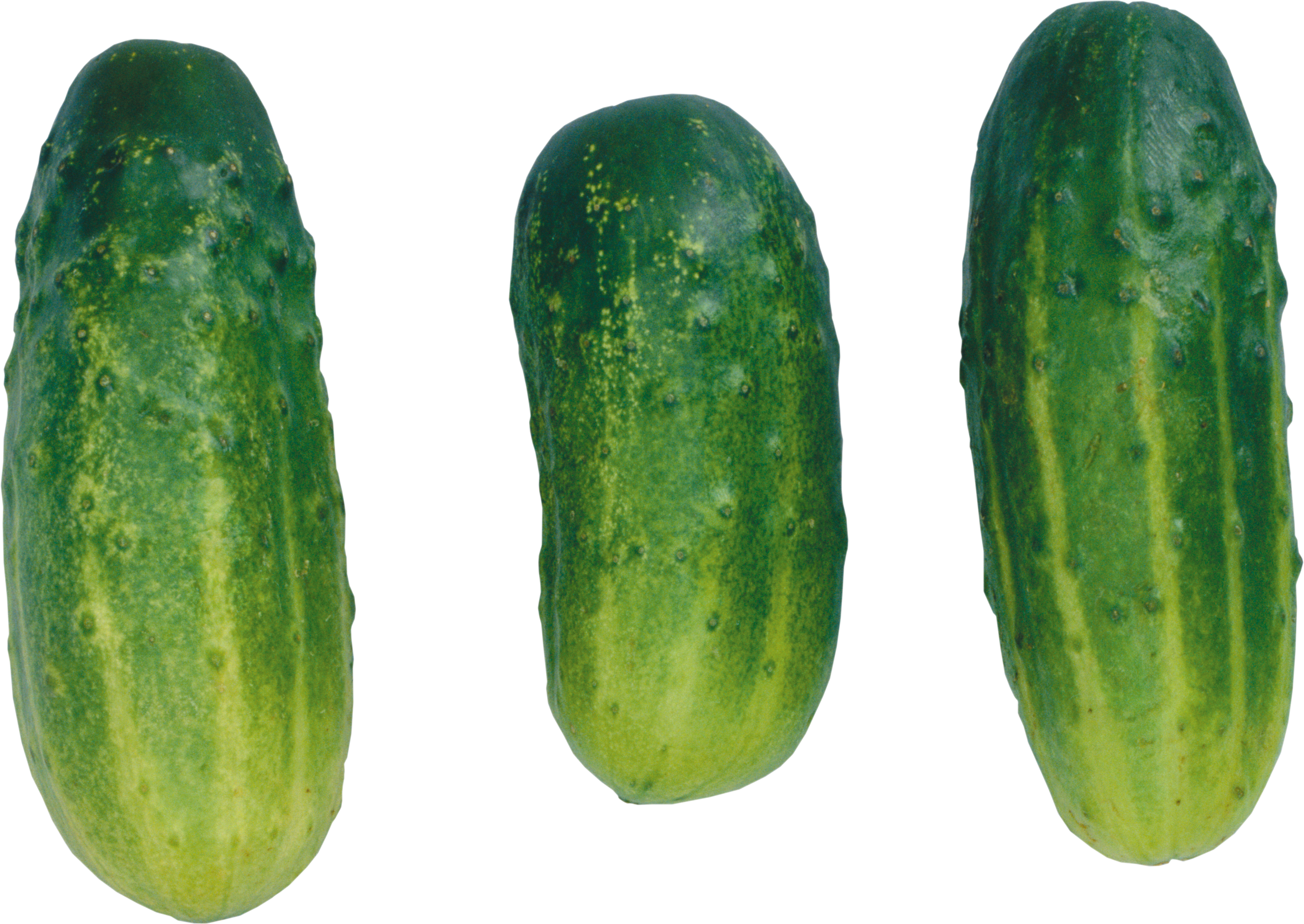 short cucumbers PNG