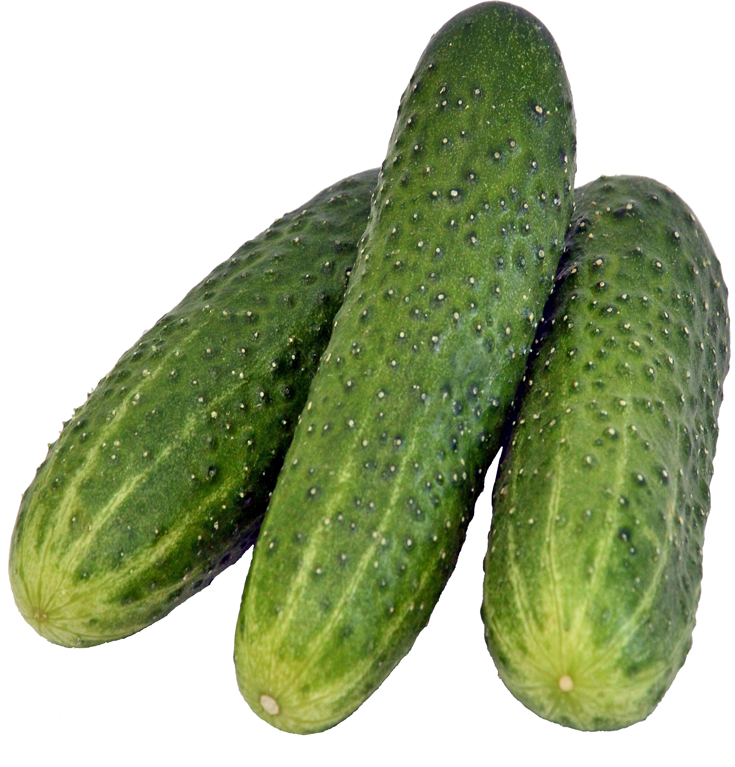 three green cucumbers PNG
