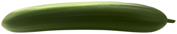 long cucumber PNG